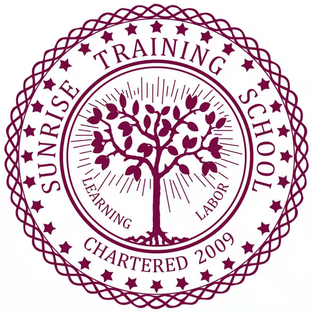 夹江县圣瑞斯艺术培训有限公司