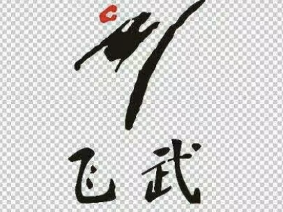 临颍县飞武体育培训中心有限公司