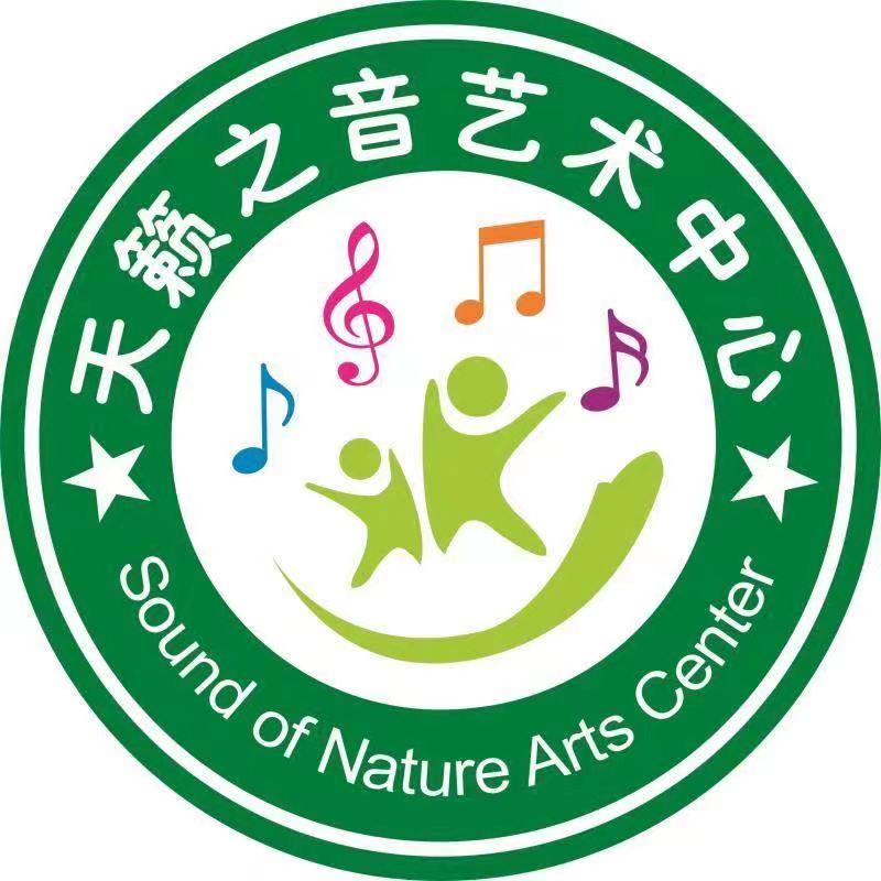 铜陵市天籁之音琴行有限公司