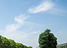 深圳守真小学