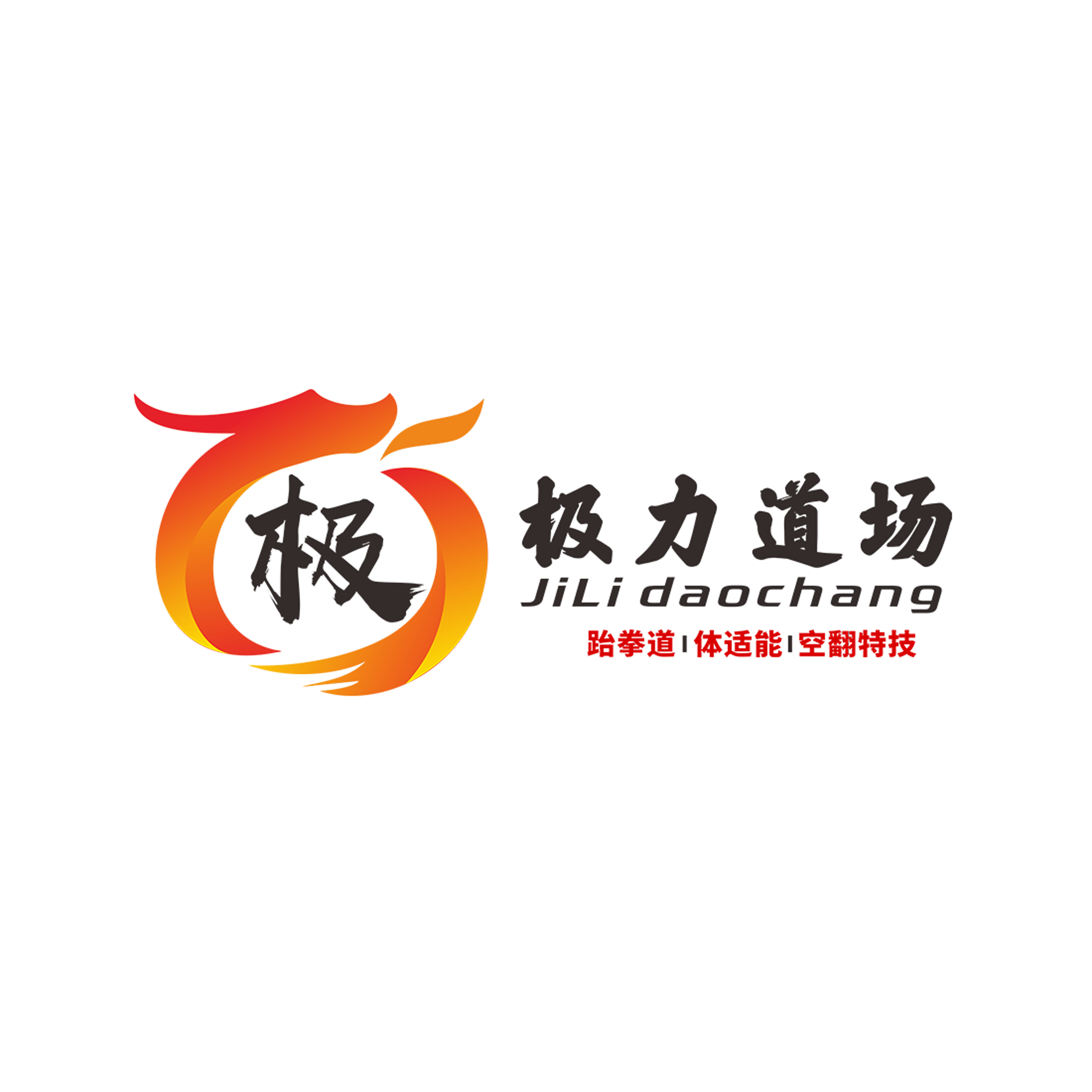 阳春市极力跆拳道培训有限公司