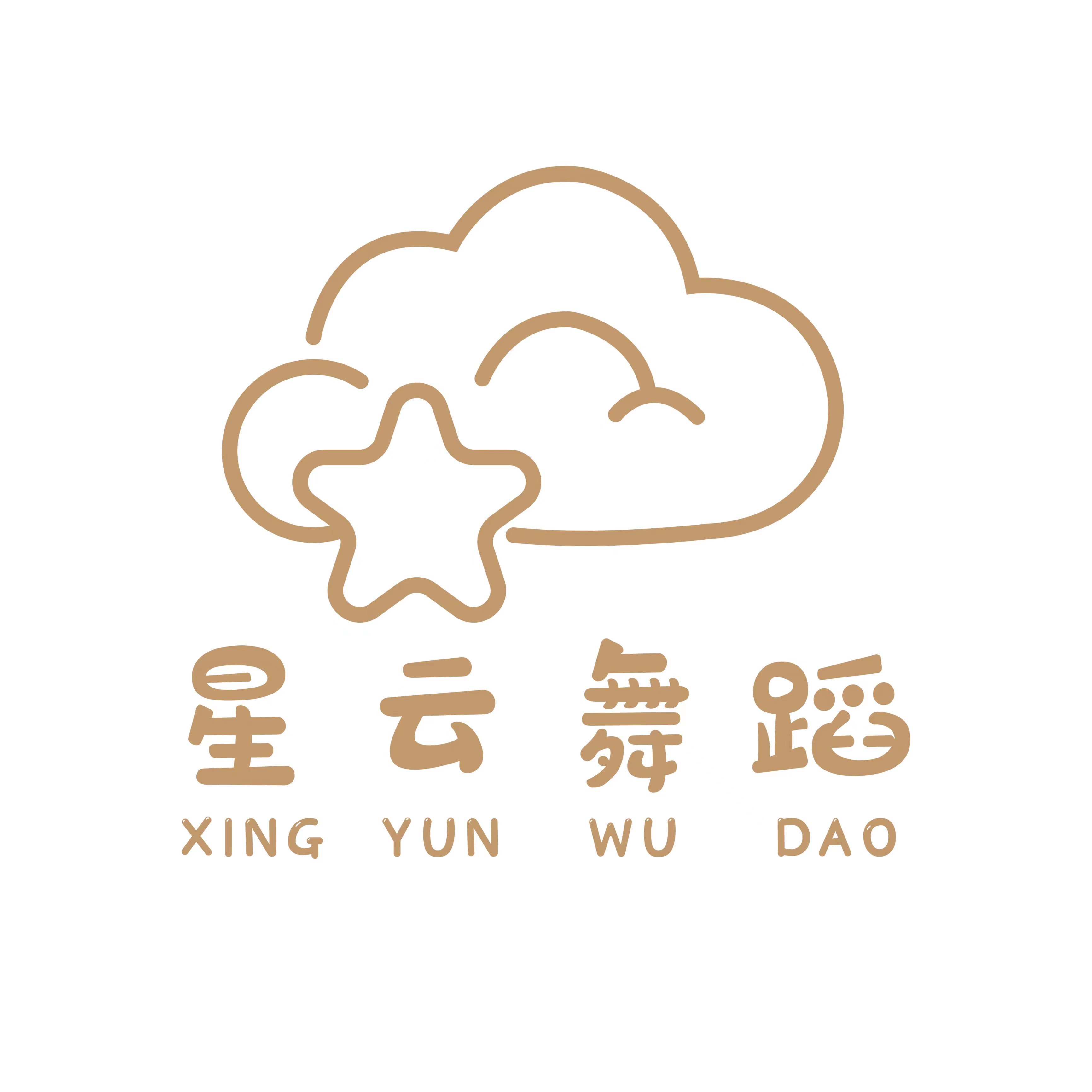 湖州星云舞蹈培训有限公司