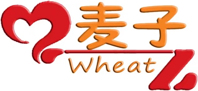 建水县麦子培训学校有限公司