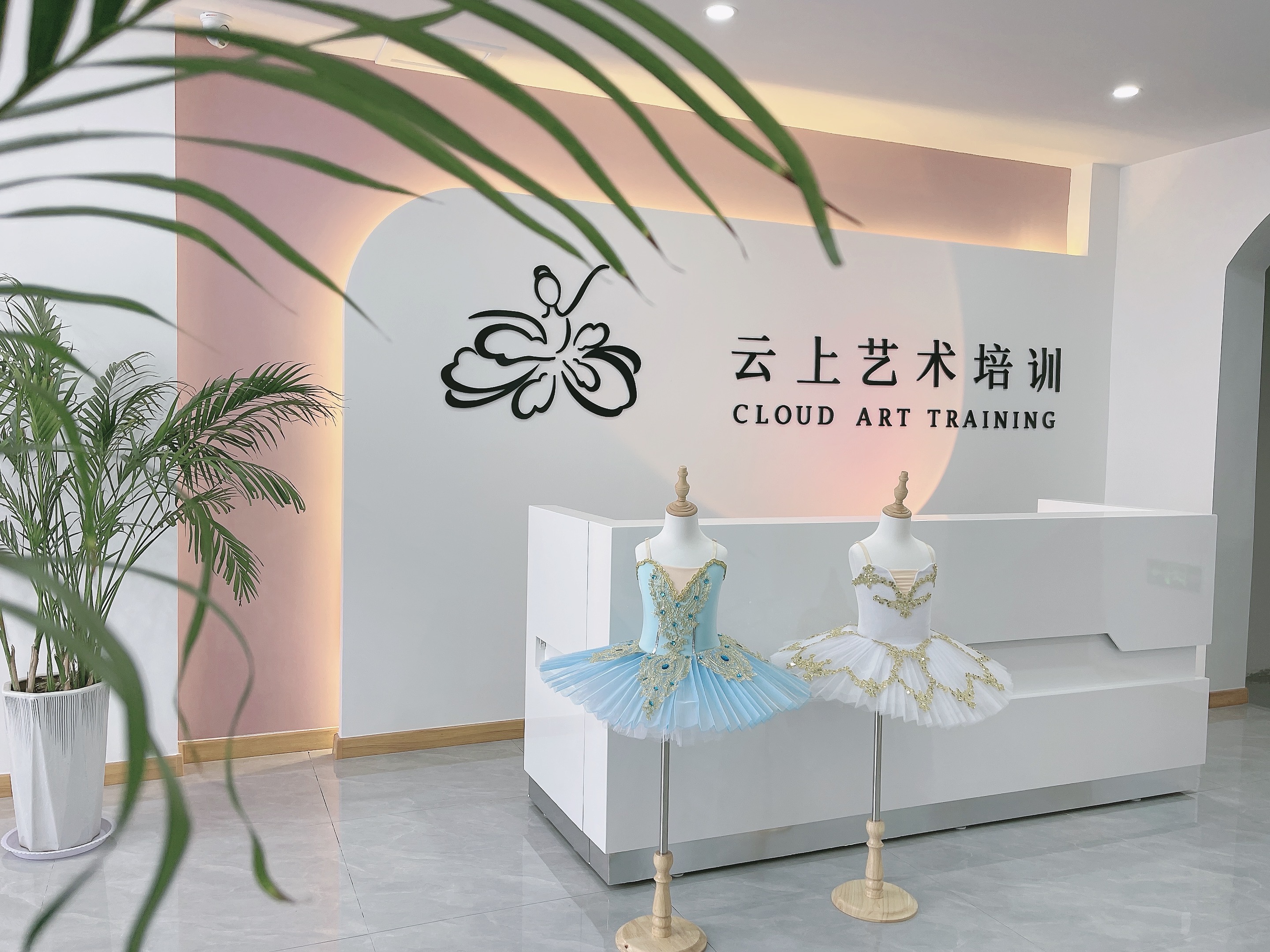 临沂市兰山区云上艺术培训学校有限公司