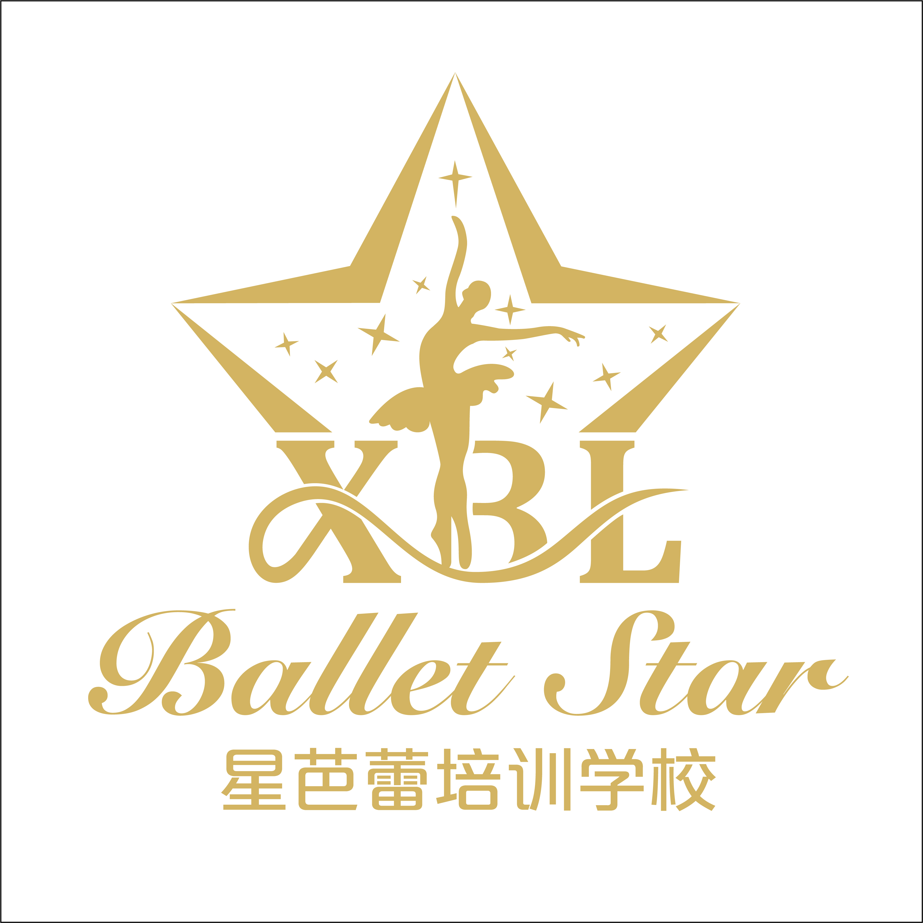 天津河西区星芭蕾培训学校有限公司