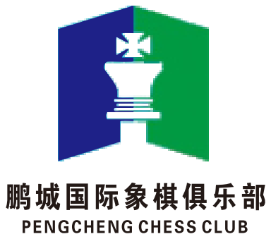 深圳市龙华区新势能棋盛教育培训中心有限公司