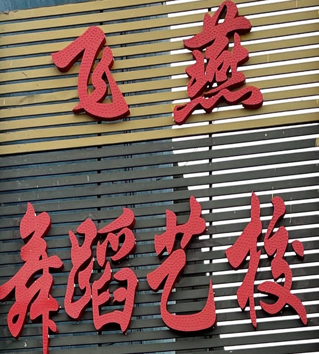 蛟河市飞之燕舞蹈培训学校有限公司