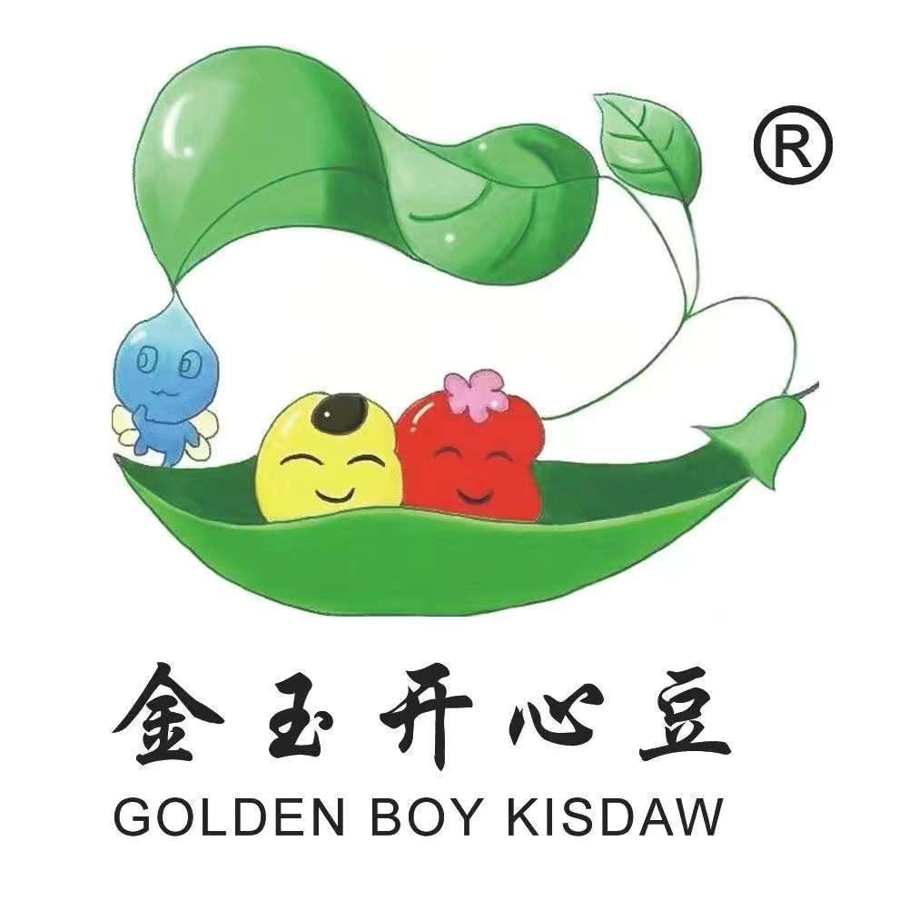 平顶山开心豆艺术培训有限公司