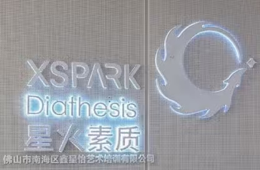 佛山市南海区鑫星怡艺术培训有限公司