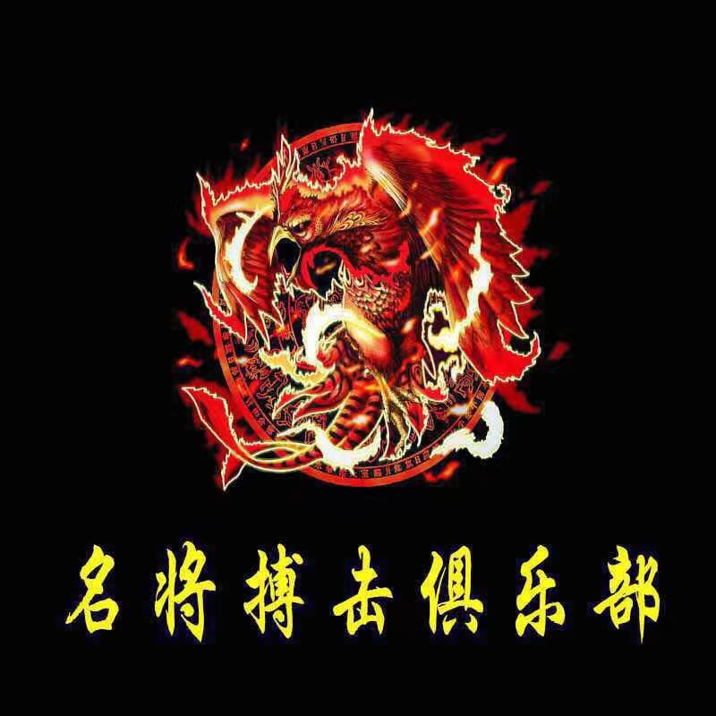 黄陵县名将体育培训有限公司