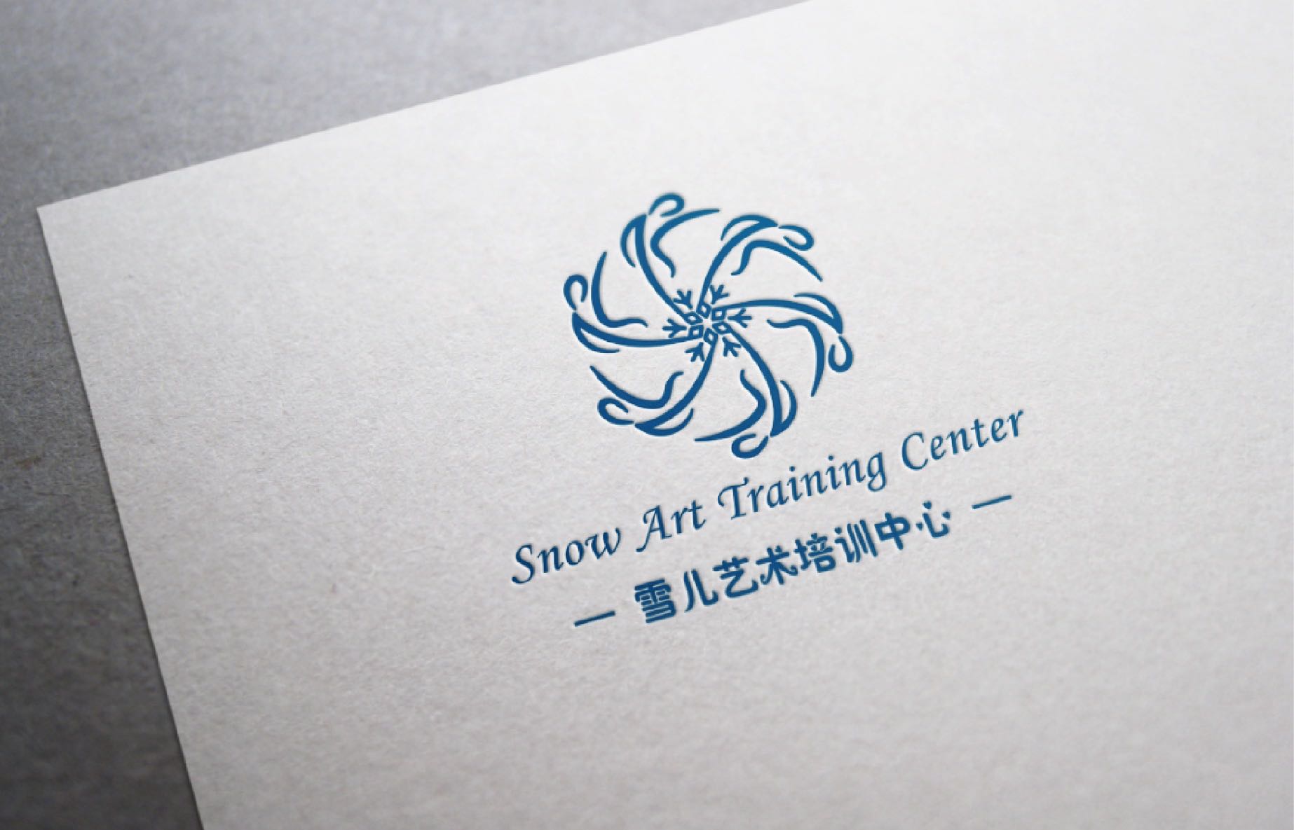 新疆雪儿艺术培训有限公司