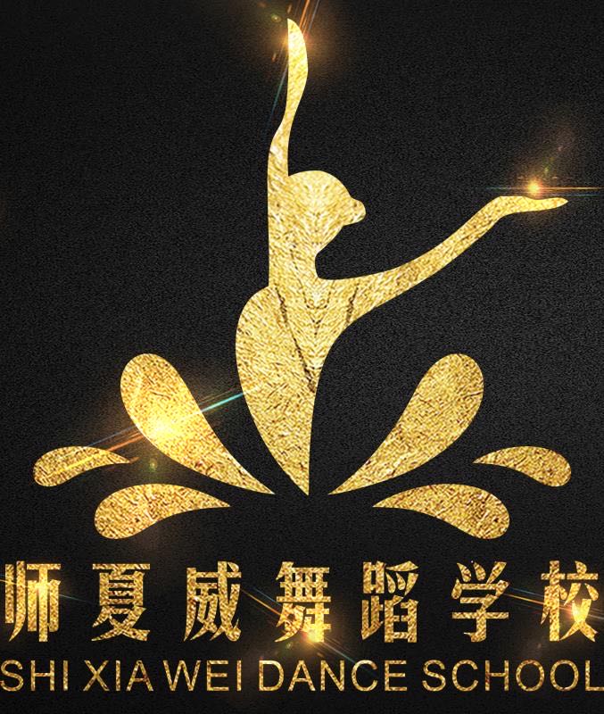 临颍县师夏威艺术培训中心有限公司