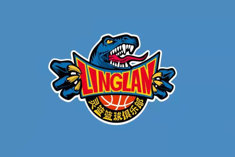 灵武市灵篮体育培训有限公司