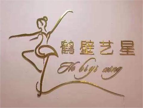 鹤壁市开发区艺星艺术培训中心