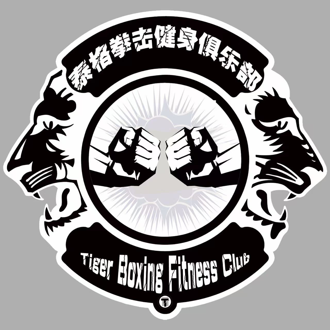 密山市泰戈拳击培训学校有限公司