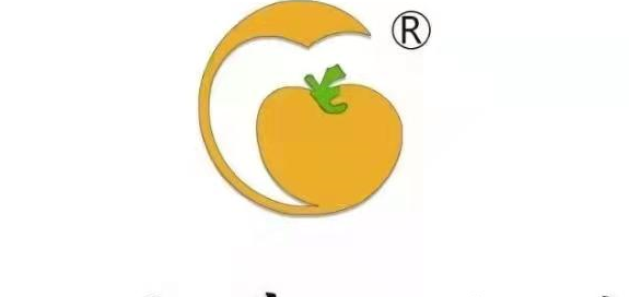 武威市凉州区橙果艺术培训中心有限公司