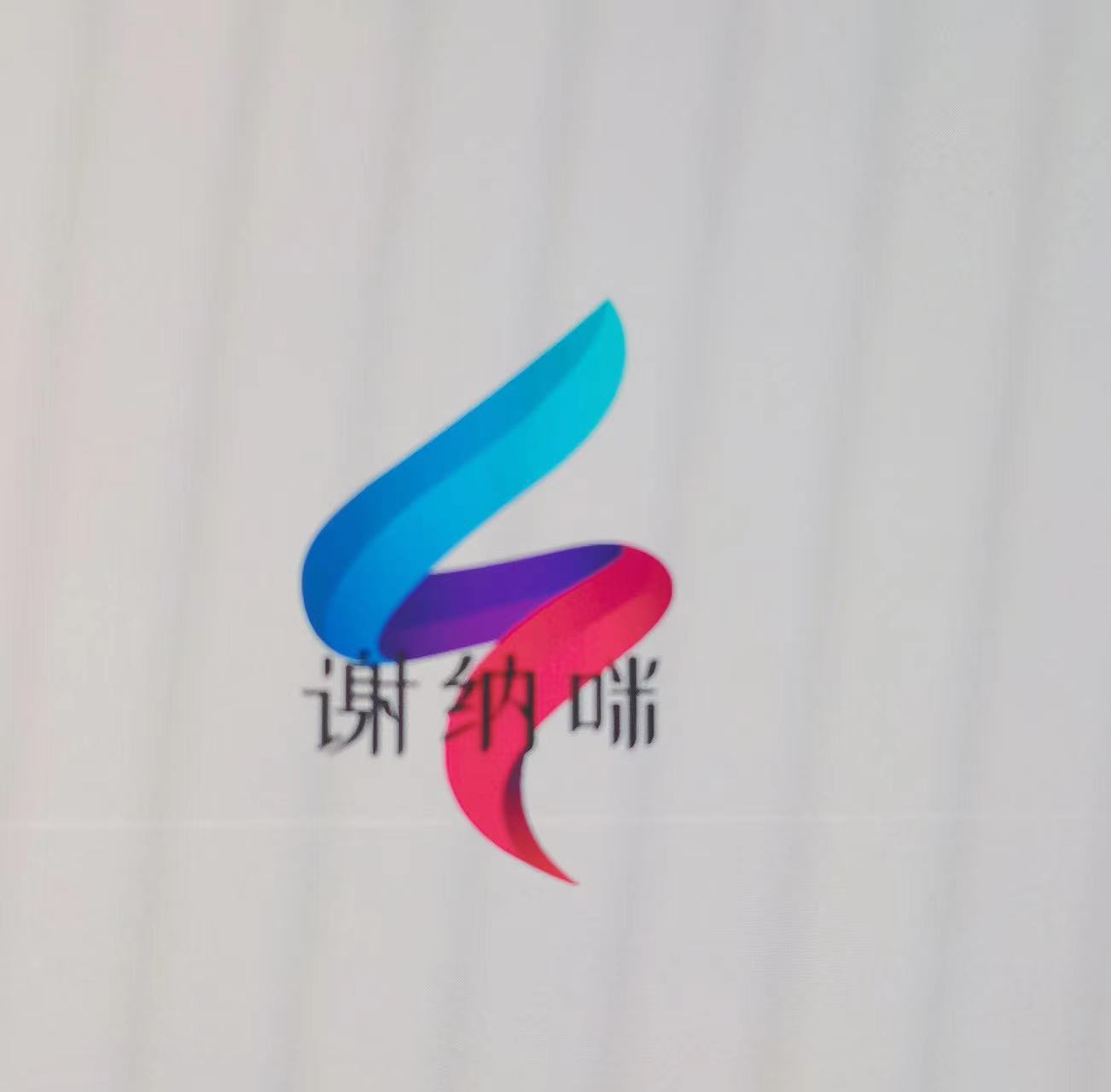 盐源县谢纳咪艺术培训学校有限责任公司