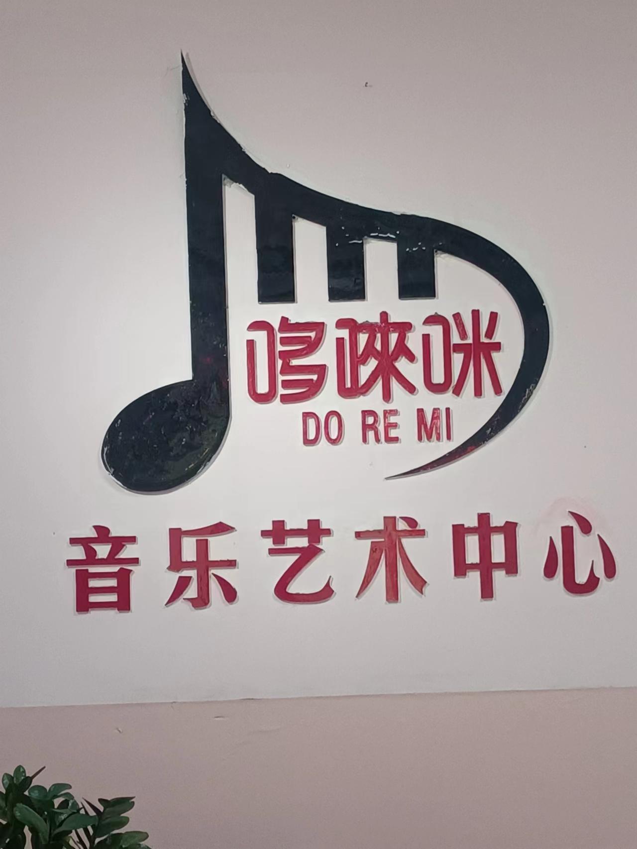 扶绥县哆来咪艺术培训有限公司