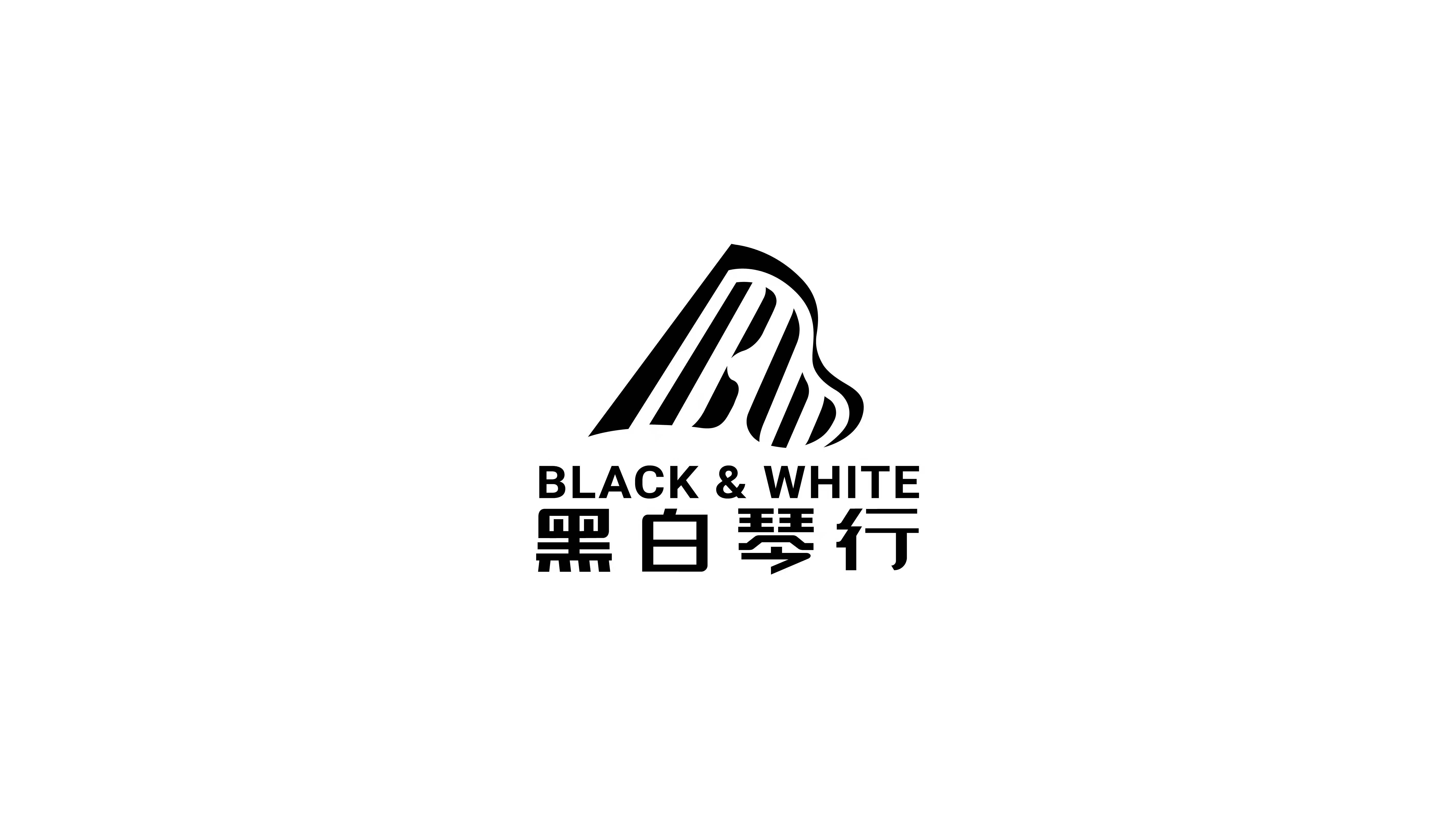 乐平市黑白艺术培训有限公司