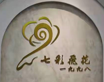 武汉市洪山区七彩飞花培训学校有限公司