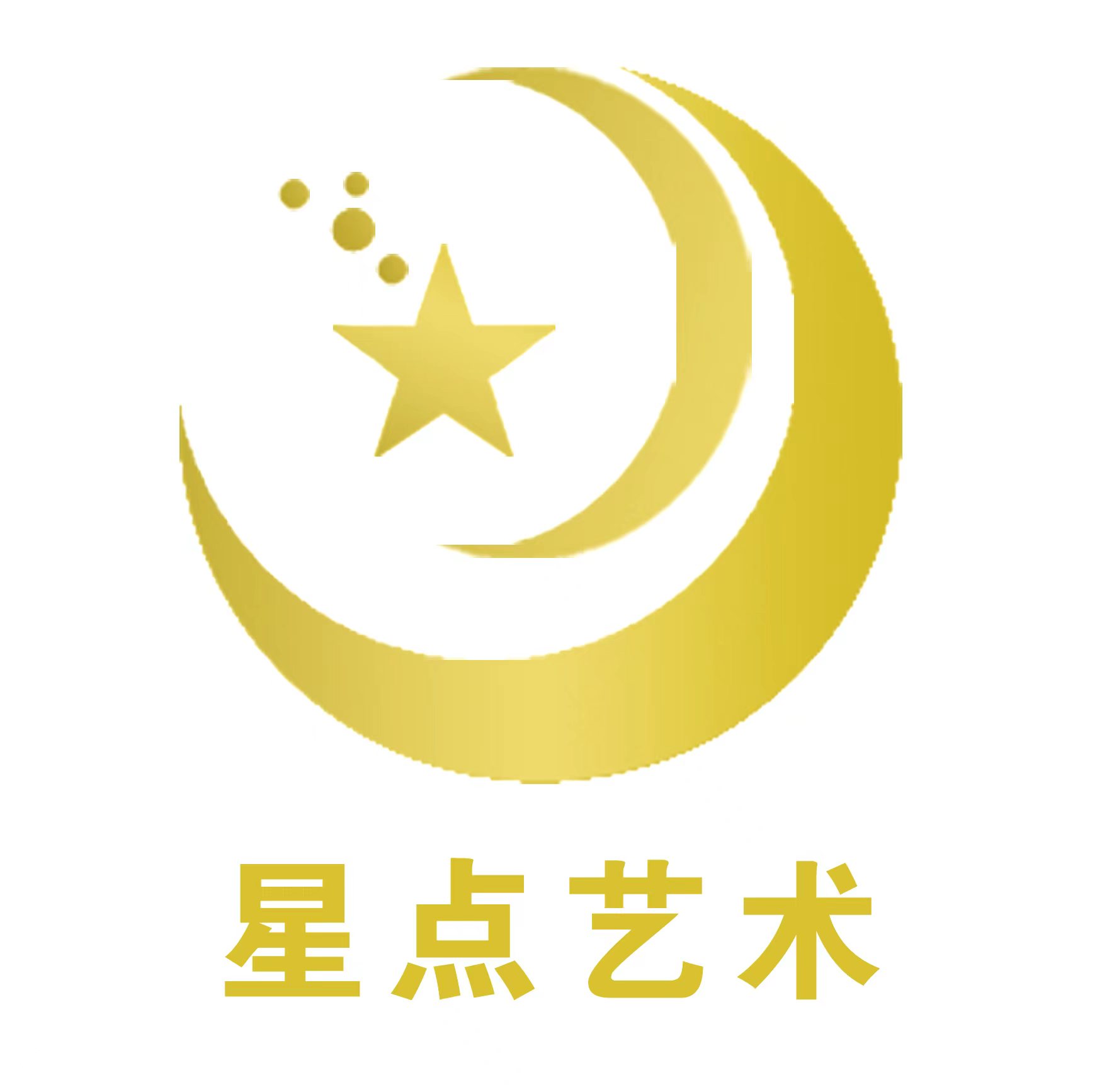 项城市星点艺术培训学校有限公司