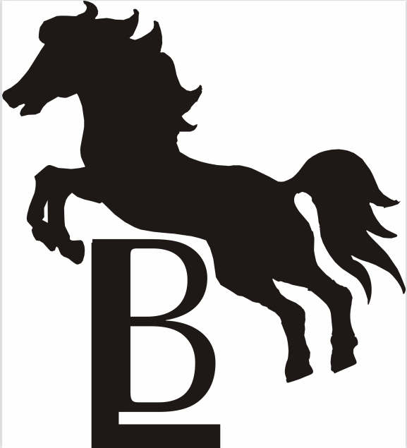 如皋市伯乐艺术培训有限公司