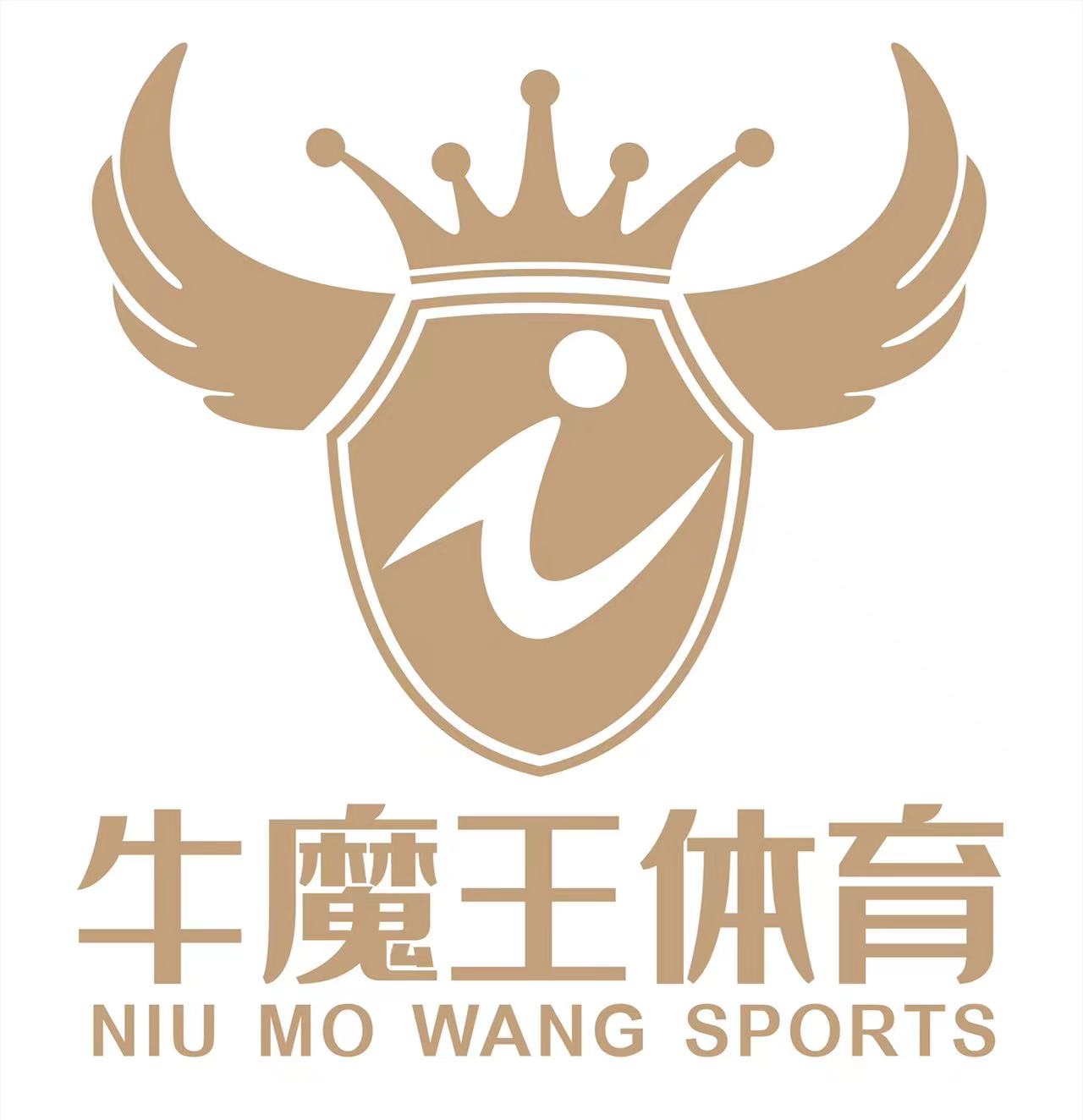 重庆市九龙坡区牛魔王体育培训中心有限公司