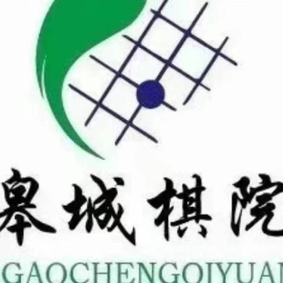 六安市皋成棋艺体育培训有限公司