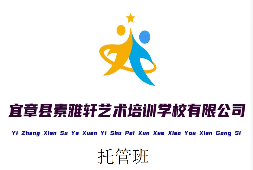 宜章县素雅轩艺术培训学校有限公司