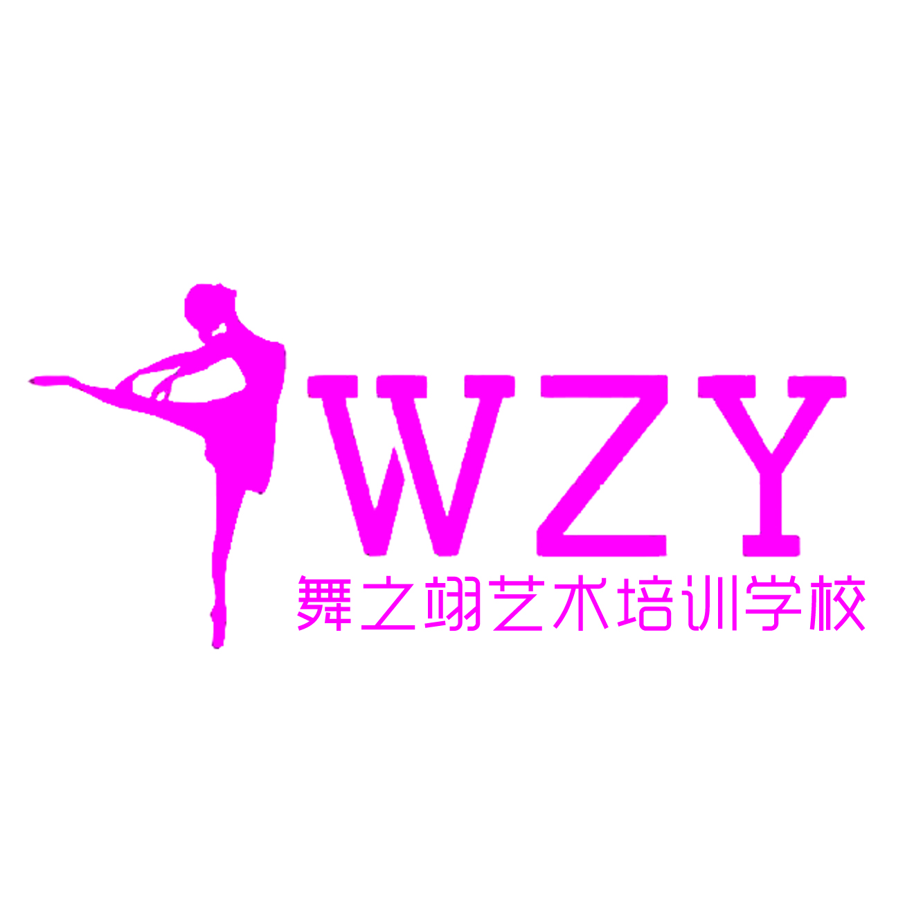 新泰市舞之翊艺术培训学校有限公司