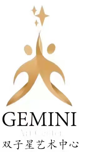 西安双子星培训学校有限公司
