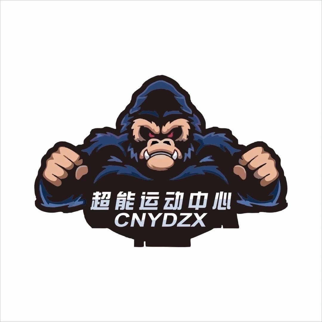 文山市卓帆体育培训学校有限公司