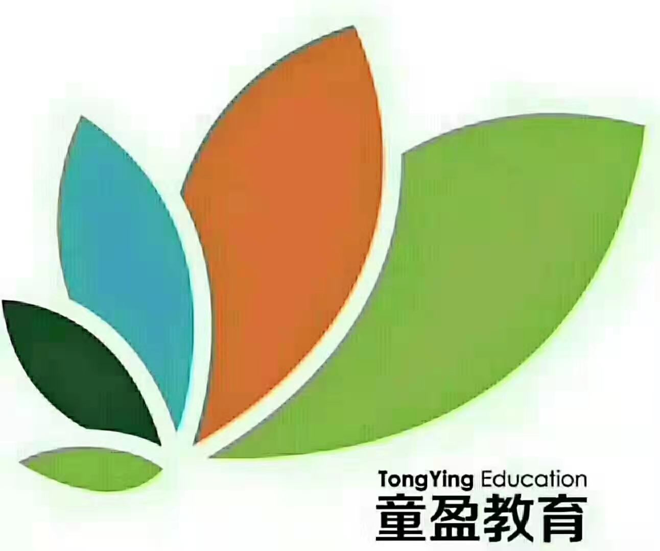 凤城市童盈教育培训有限公司