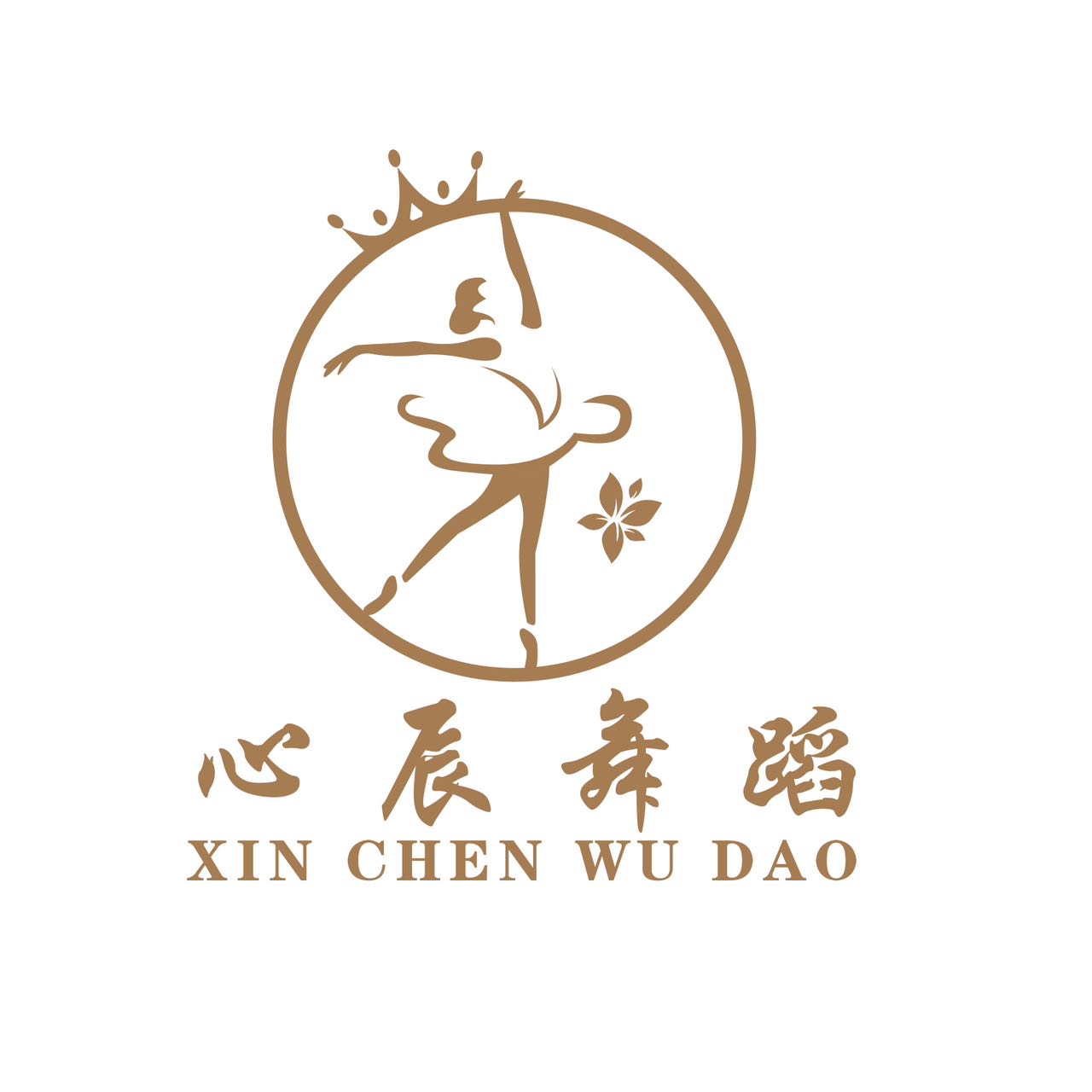 来宾象州县心辰艺术培训有限责任公司