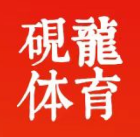 佛山市南海区砚龙体育培训有限公司