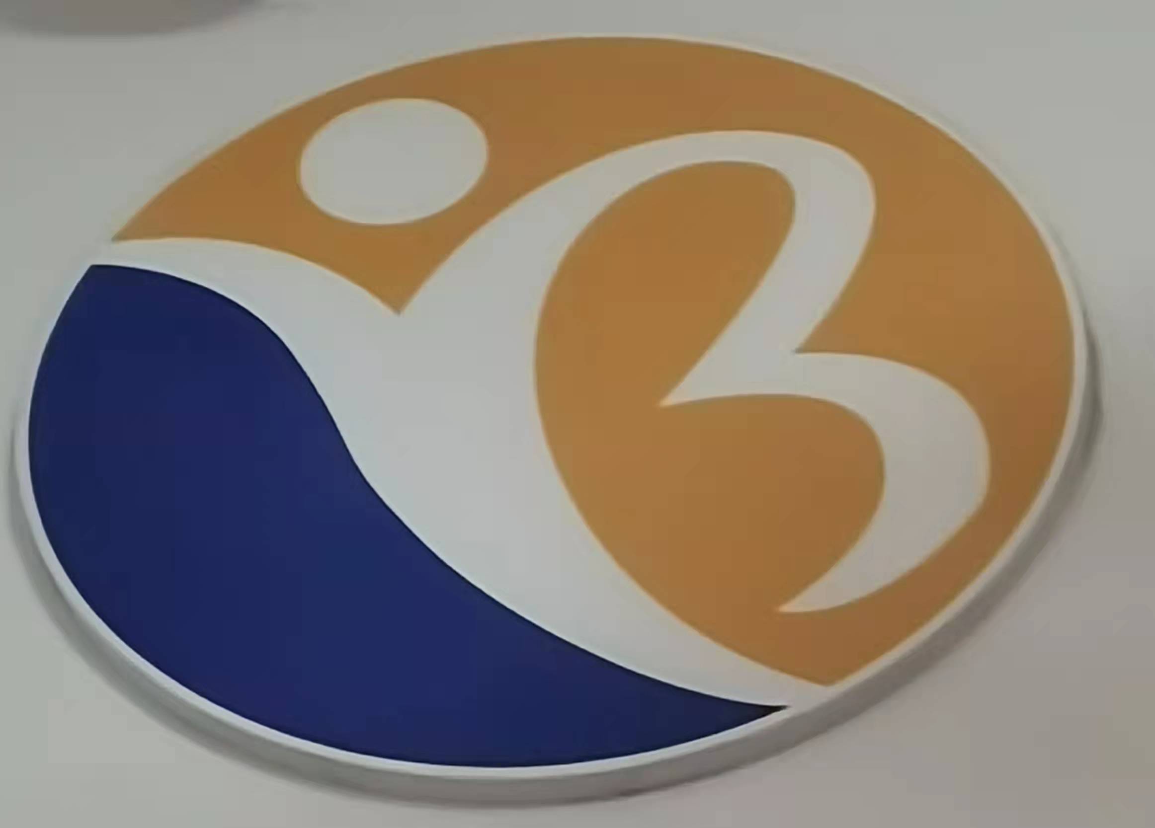 瓜州县博睿园莘培训学校有限公司