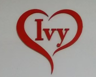 仙游县赢爱赢艺术培训有限公司