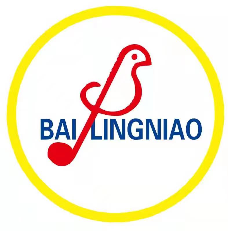 青海百灵鸟艺术培训学校有限公司