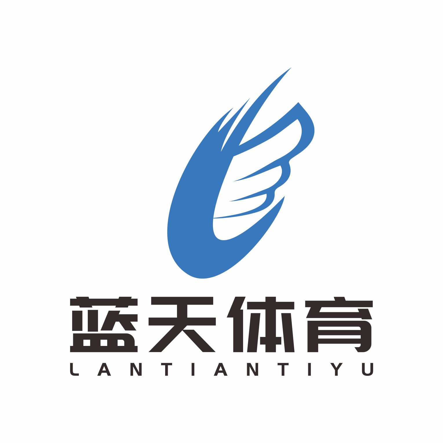 广州市南沙区蓝天体育培训中心有限公司