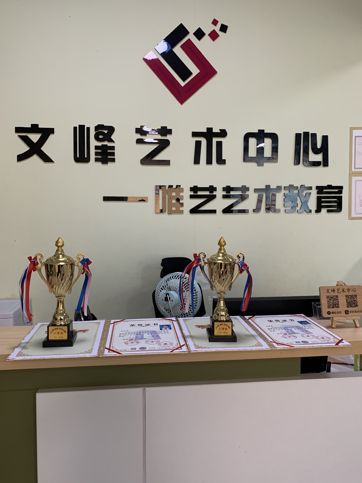 菏泽唯艺艺术教育培训学校有限公司