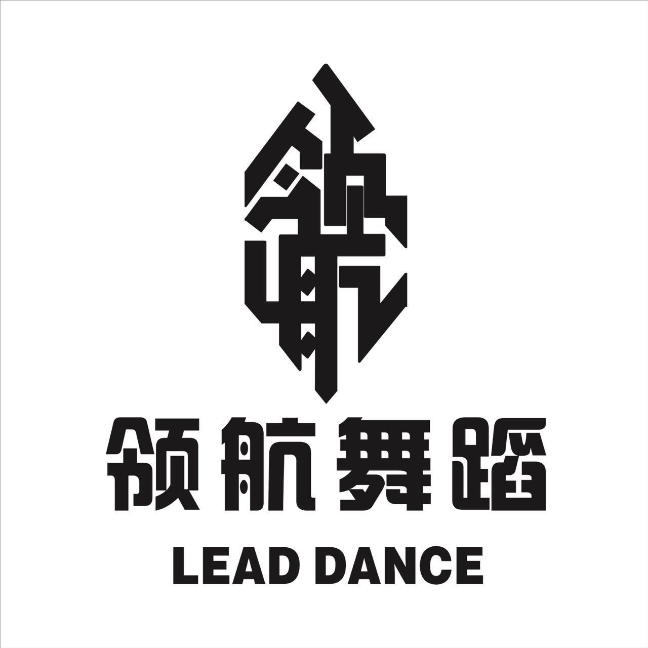 光山县领航舞蹈培训学校有限公司