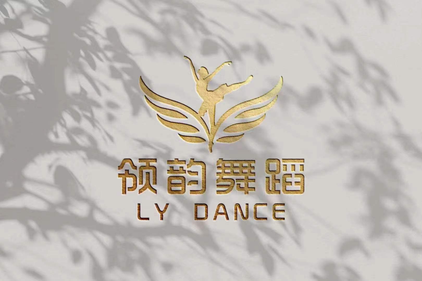 禹州市领韵艺术培训有限公司