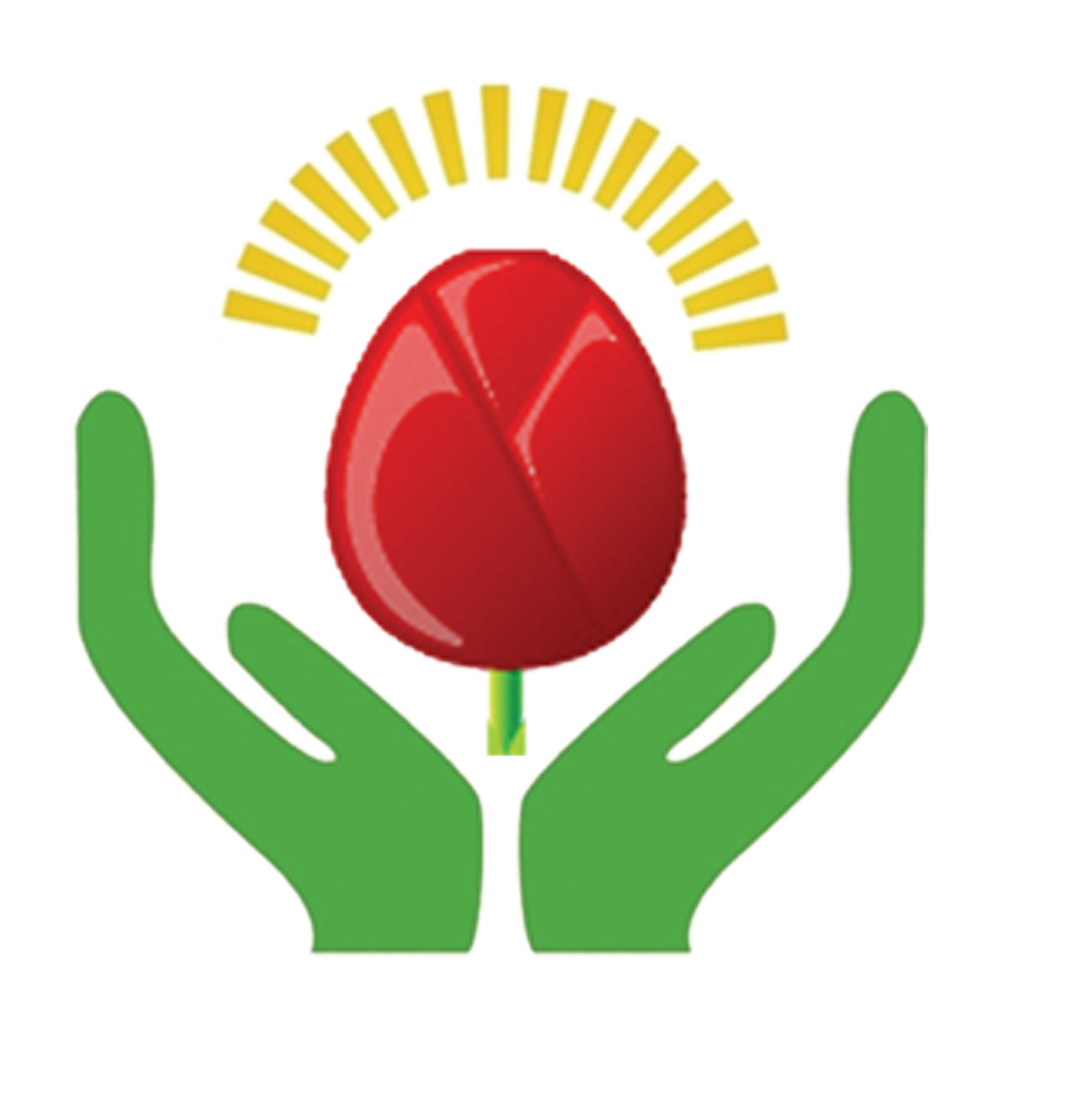 平罗县金蓓蓓艺术培训有限公司