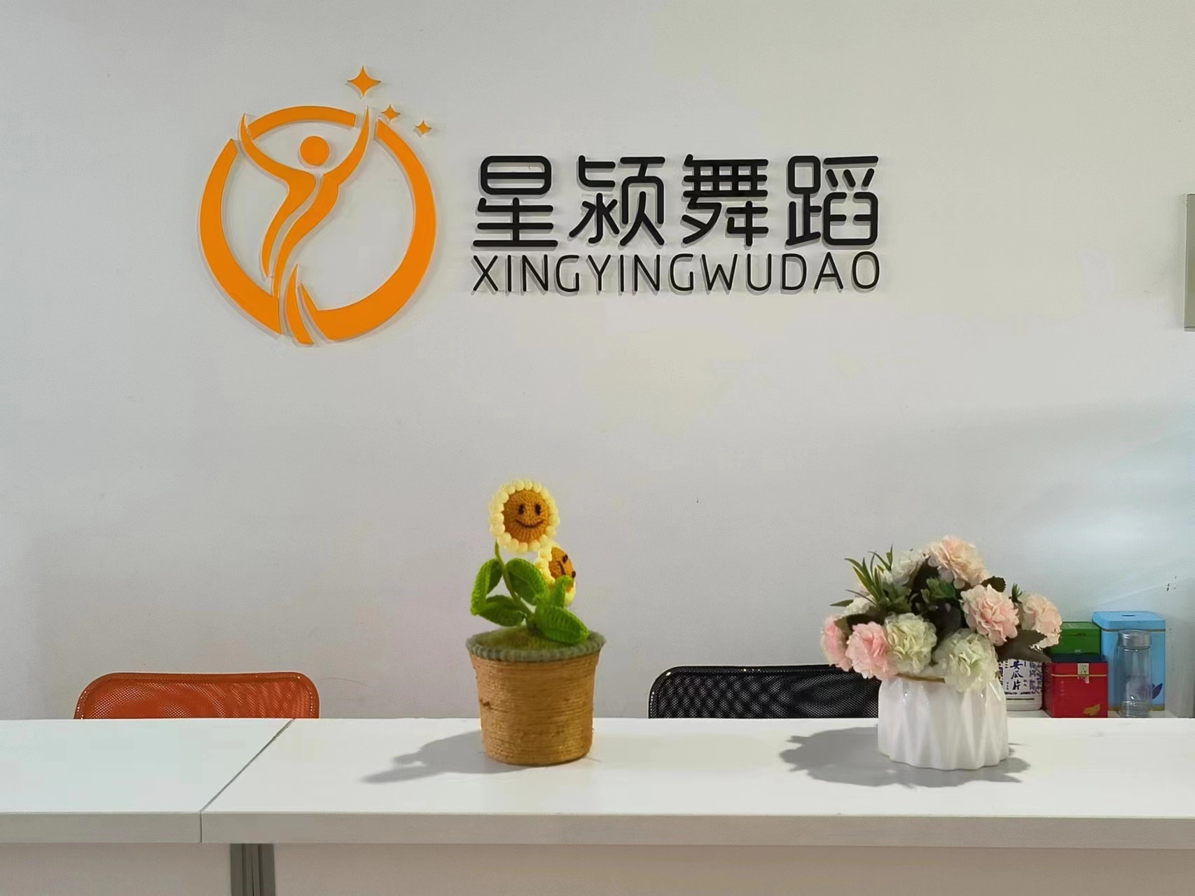 铜陵市星颍艺术培训中心有限公司