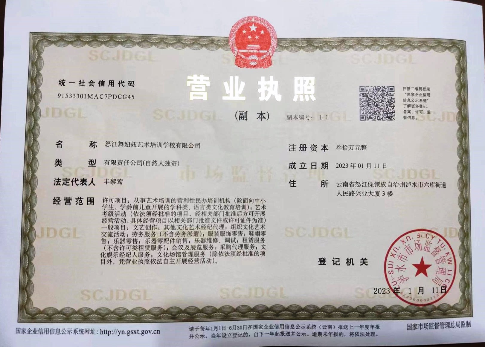 怒江舞妞妞艺术培训学校有限公司