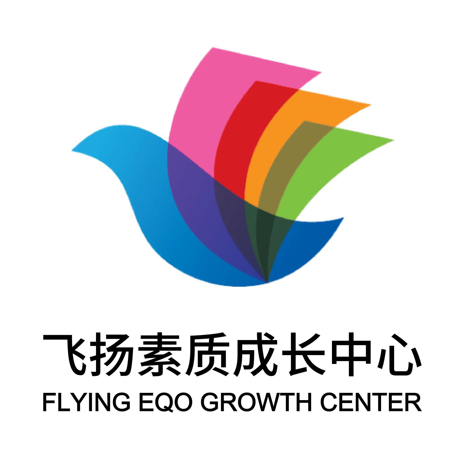 贵阳市云岩区飞扬启睿创客培训学校有限公司