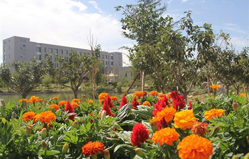 临泉县杨桥高级职业中学