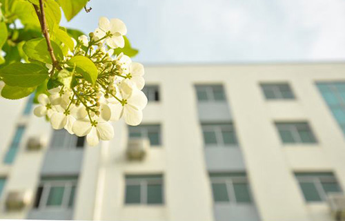 大足县珠溪镇土门中学