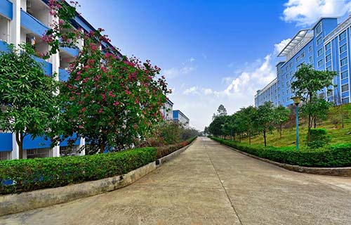 开江县新街乡综合学校