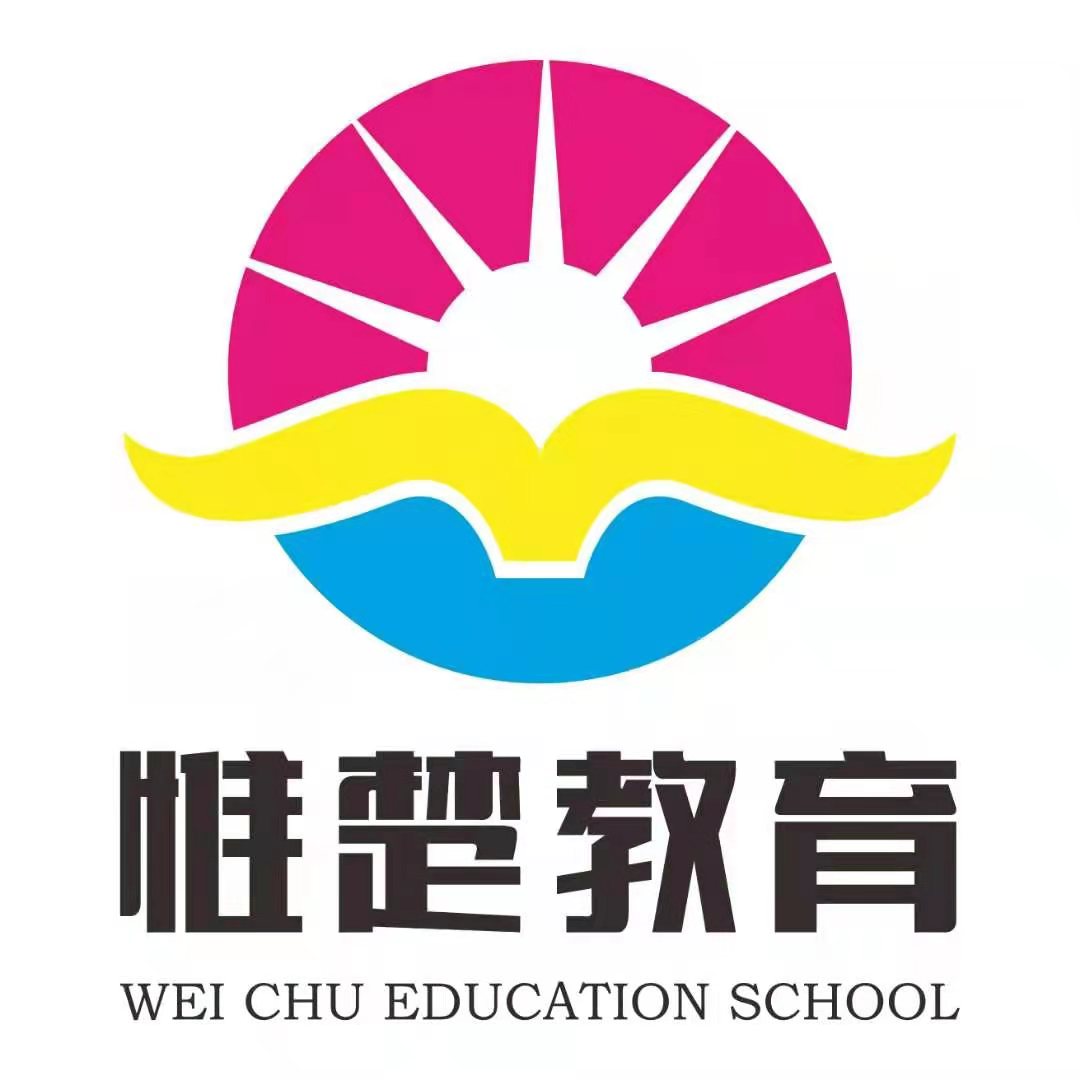 桃江县惟楚艺术培训学校有限公司